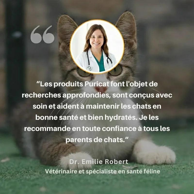 Puricat™ : Fontaine à Eau pour Chat