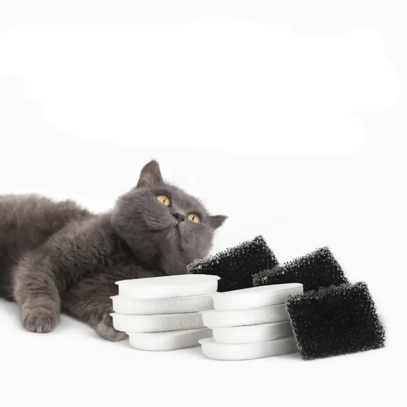 4 Filtres de rechange (2 mois)