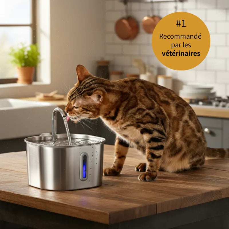 Puricat™ : Fontaine à Eau pour Chat