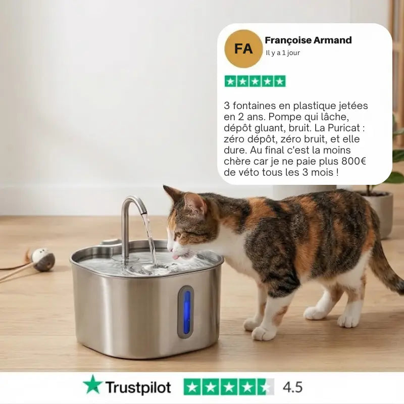 Puricat : Fontaine à Eau pour Chat