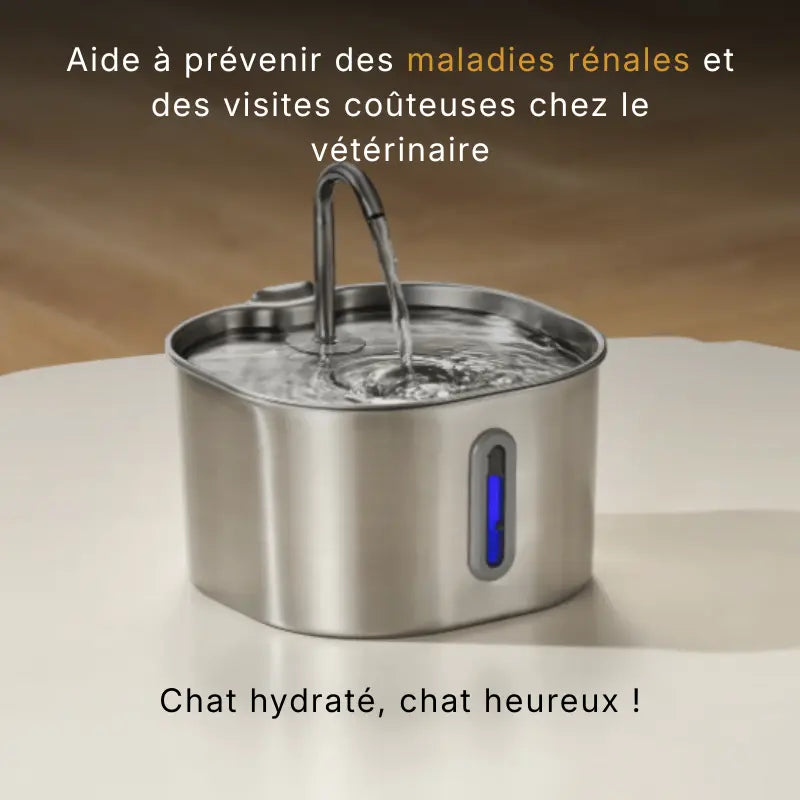 Puricat : Fontaine à Eau pour Chat
