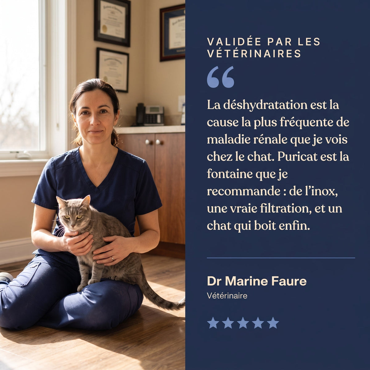 Validée par les vétérinaires : Dr Marine Faure