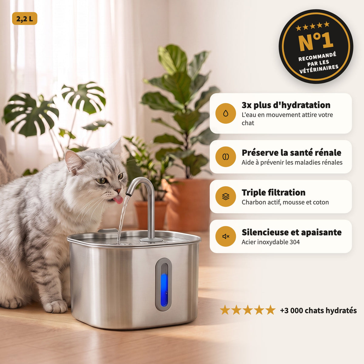 Un chat boit à la fontaine Puricat Inox 2,2 L, N°1 recommandé par les vétérinaires