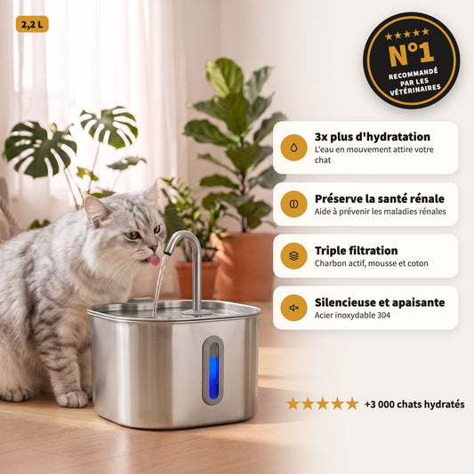 Un chat boit à la fontaine Puricat Inox 2,2 L, N°1 recommandé par les vétérinaires