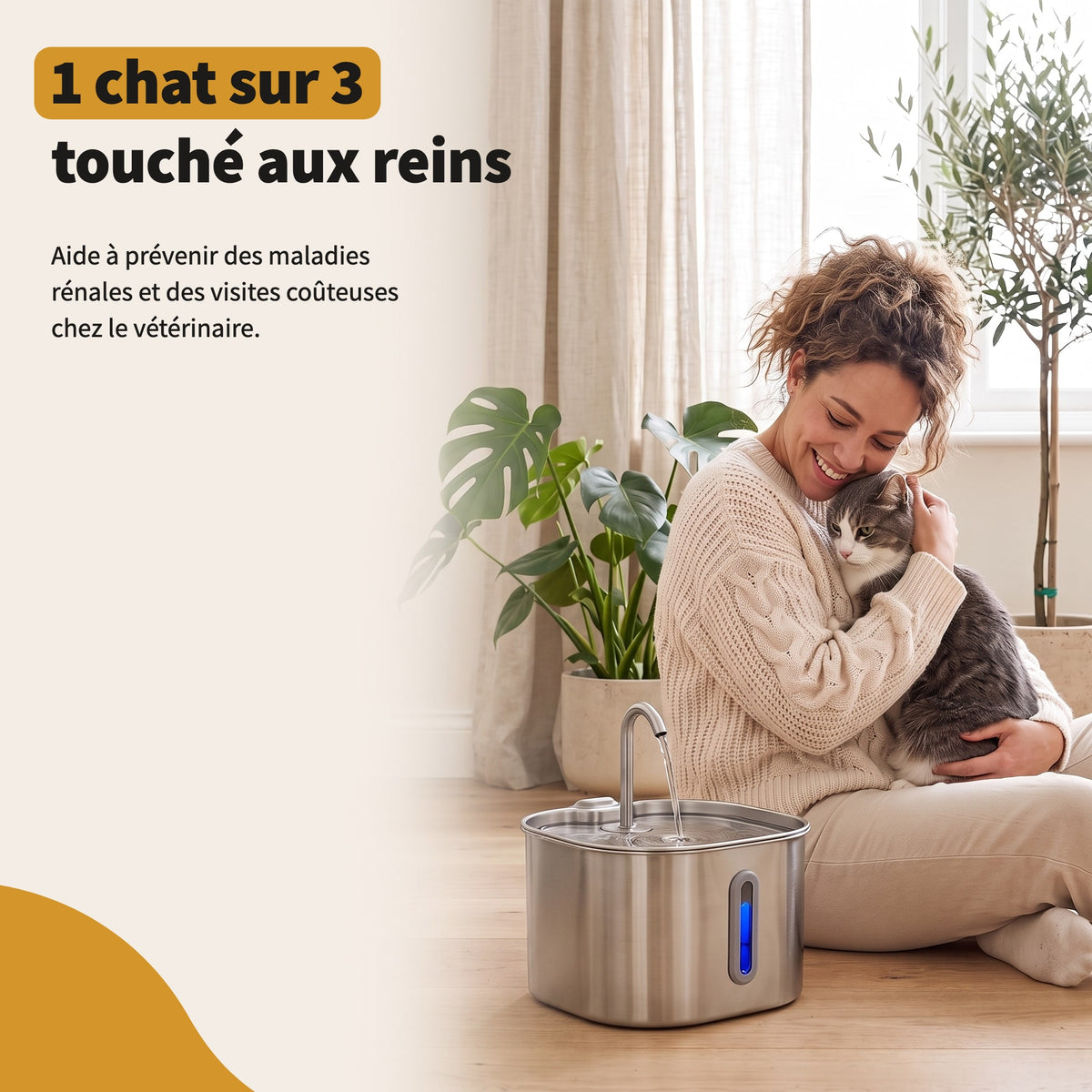 1 chat sur 3 touché aux reins : aide à prévenir des maladies rénales