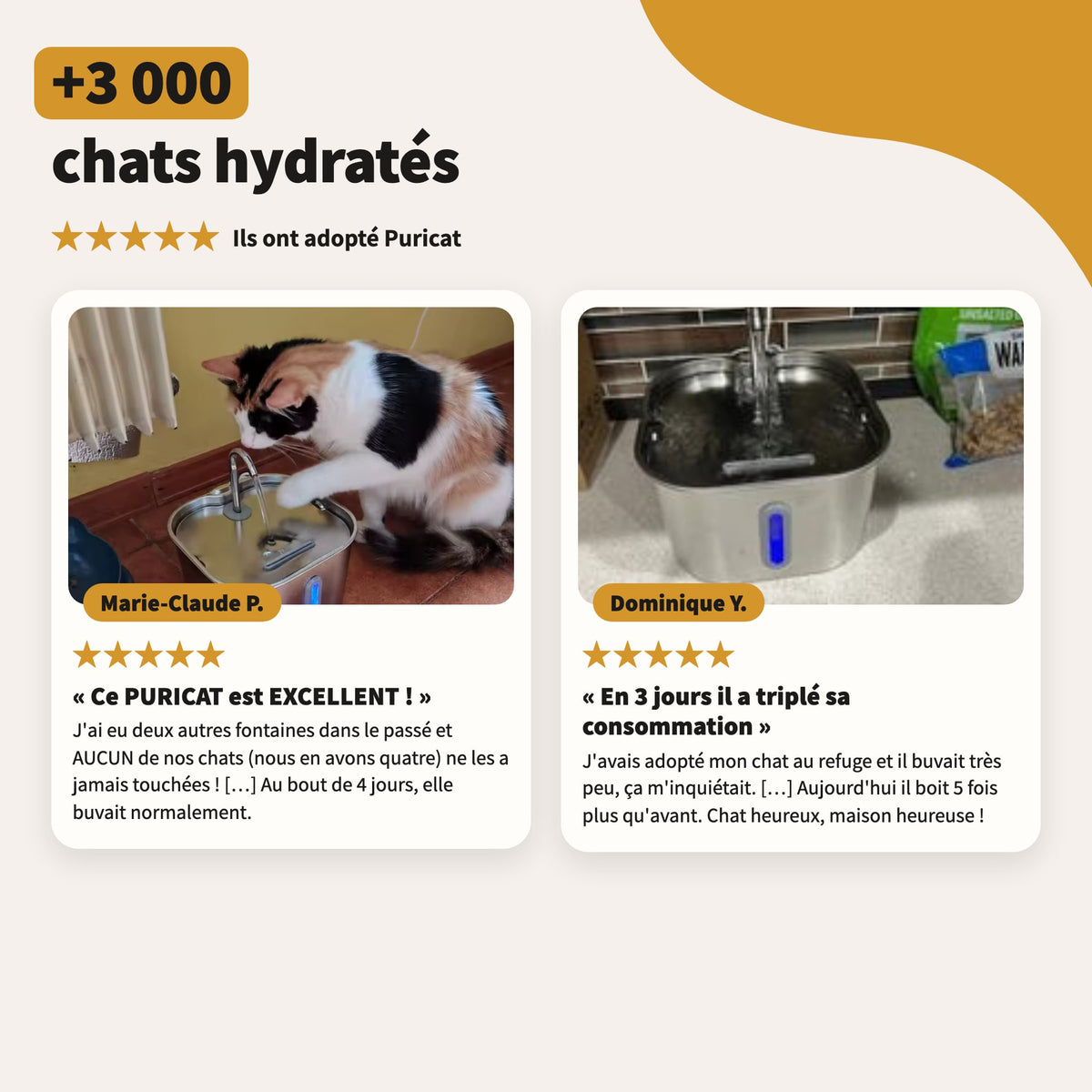 +3 000 chats hydratés : les avis de nos clients