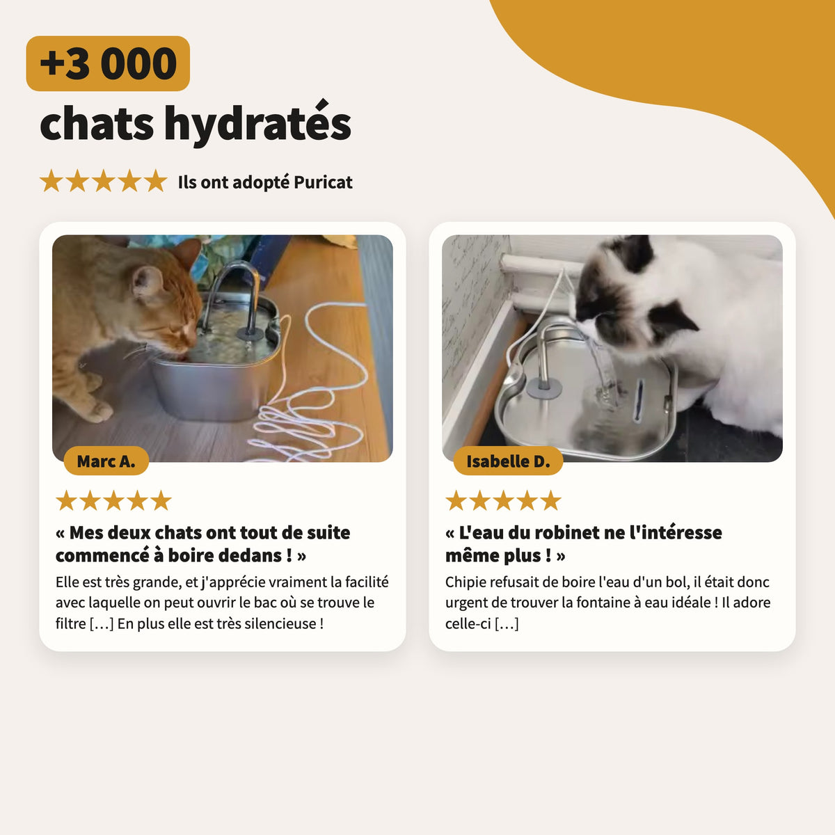 +3 000 chats hydratés : les avis de nos clients