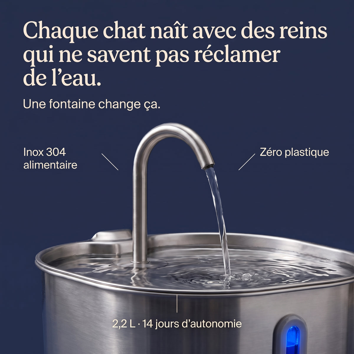 Chaque chat naît avec des reins qui ne savent pas réclamer de l'eau — 2,2 L, 14 jours d'autonomie