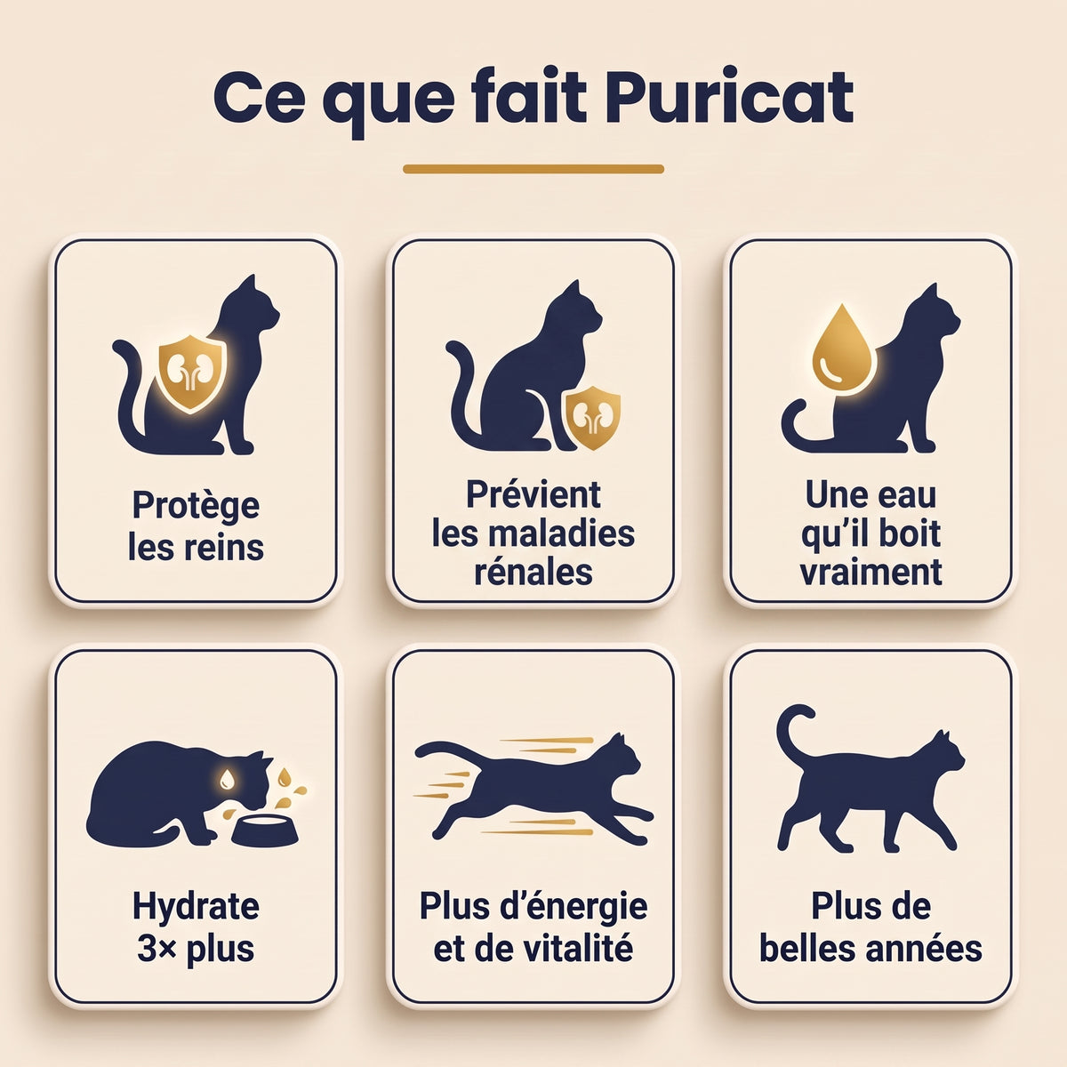 Ce que fait Puricat : protège les reins, prévient les maladies rénales, une eau qu'il boit vraiment