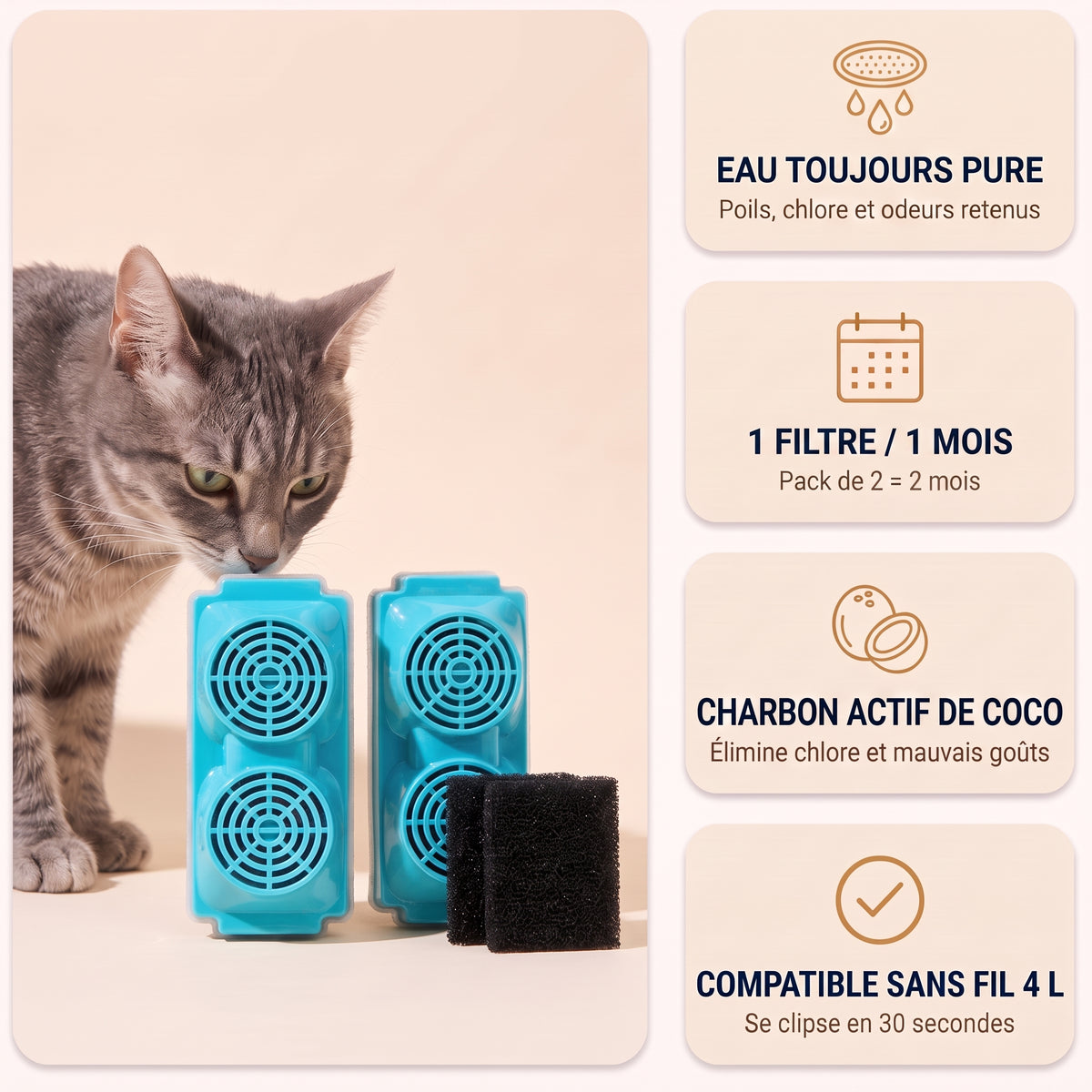 Filtres Puricat Sans Fil 4 L : eau toujours pure, 1 filtre par mois, charbon actif de coco