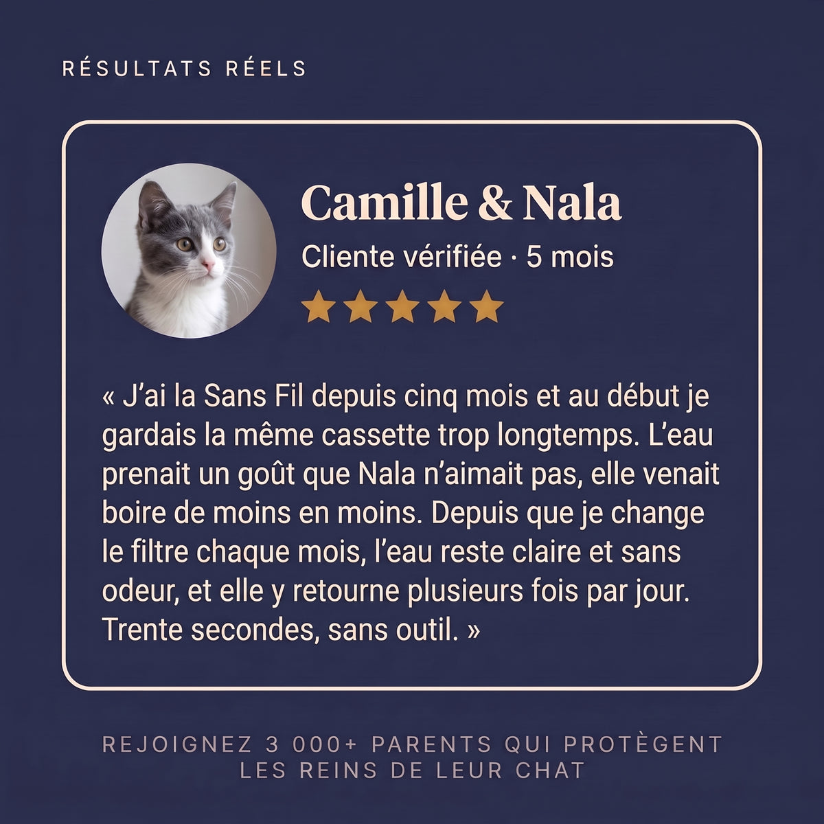 Témoignage client sur les filtres Puricat Sans Fil 4 L