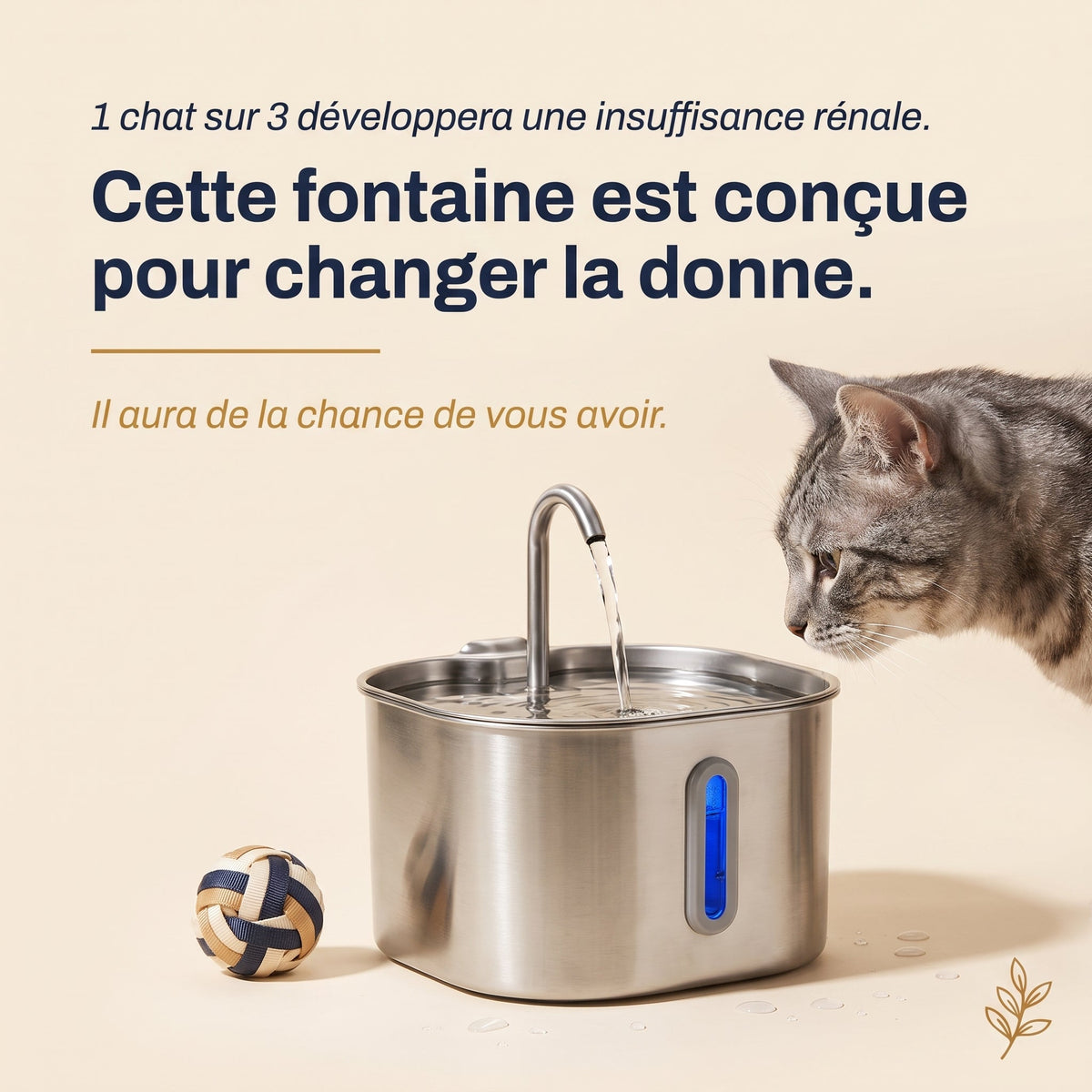 1 chat sur 3 développera une insuffisance rénale. Cette fontaine est conçue pour changer la donne.
