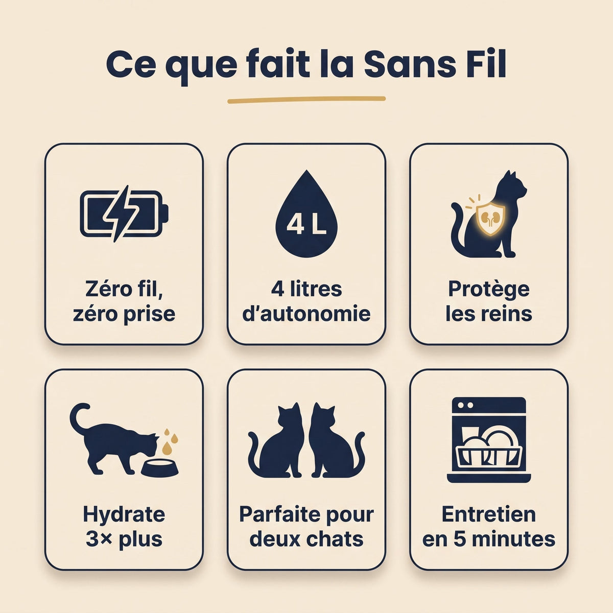 Ce que fait la Sans Fil