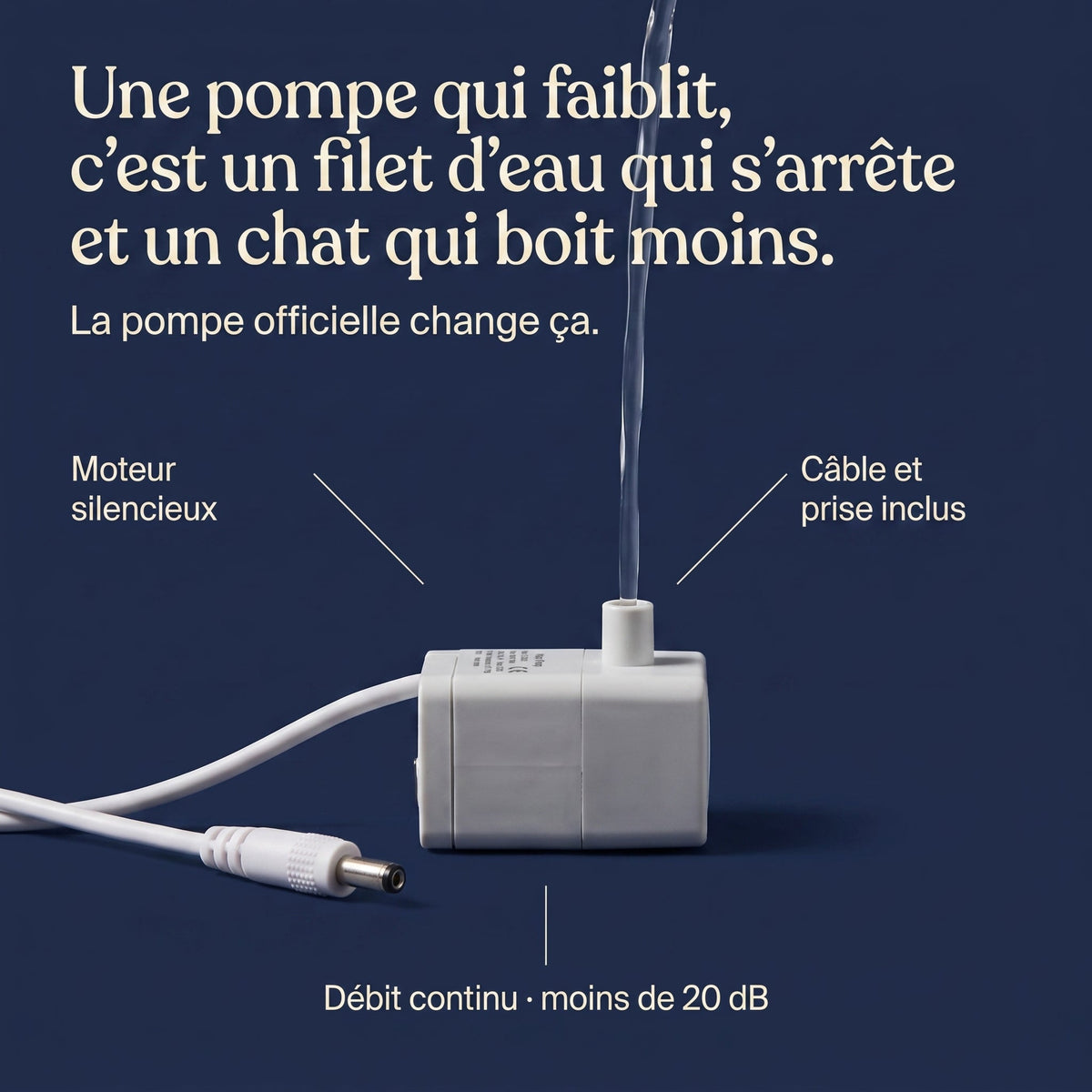 Une pompe qui faiblit, c'est un filet d'eau qui s'arrête et un chat qui boit moins.